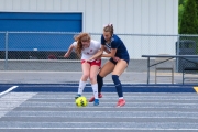 MOSP5479_PLPsoccer