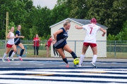 MOSP6008_PLPsoccer