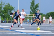 MOSP6084_PLPsoccer