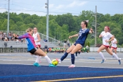 MOSP6393_PLPsoccer