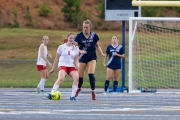 MS__2569_PLPsoccer