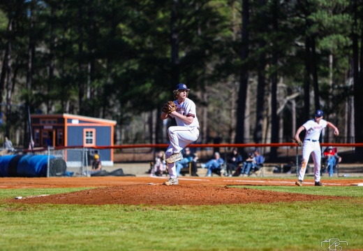 se baseball-9803 (15 visits) se baseball-9803