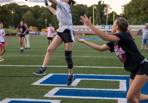 MS2 4065 Powderpuff